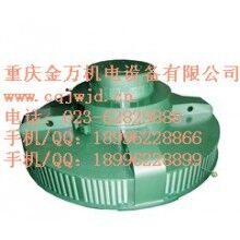 T、TL系列電機(jī)