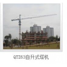 QTZ63塔機(jī)