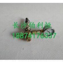 批發(fā)原裝正品攪拌機(jī)配件，三一JX3000潤滑油泵芯