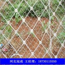 邊坡防護(hù)網(wǎng)|廠家直銷(xiāo)全國(guó)各地各種防護(hù)網(wǎng)|護(hù)欄網(wǎng)